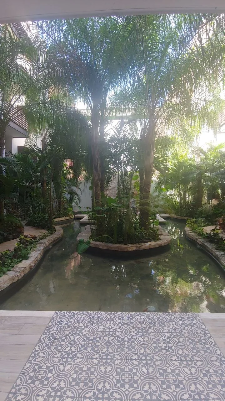 Inner courtyard garden with palms and a water feature